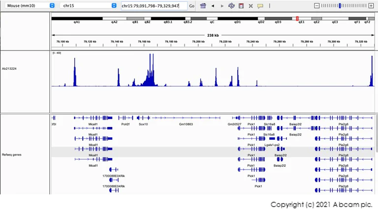 CUT&Tag sequencing - Anti-Histone H3 (tri methyl K4) antibody [EPR20551-225] - ChIP Grade (AB213224)