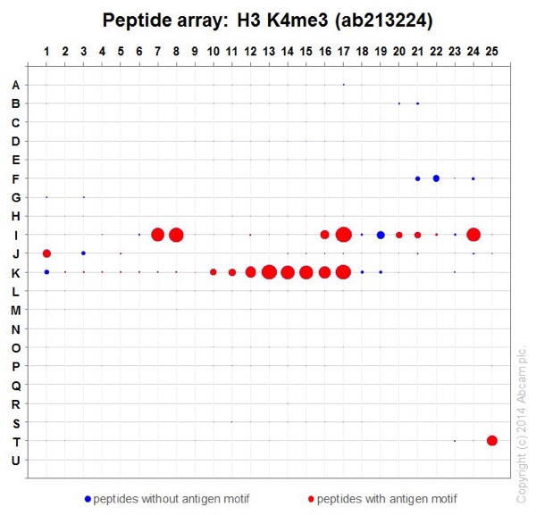 Peptide Array - Anti-Histone H3 (tri methyl K4) antibody [EPR20551-225] - ChIP Grade (ab213224), expandable thumbnail