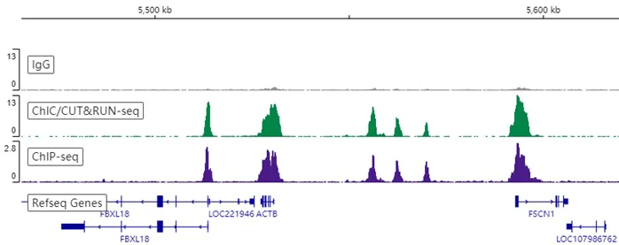 ChIC/CUT&RUN sequencing - Anti-Histone H3 (tri methyl K4) antibody [EPR20551-225] - ChIP Grade - BSA and Azide free (AB313500)