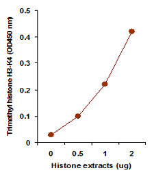 Functional Studies - Histone H3 (tri-methyl K4) Quantification Kit (Colorimetric) (AB115056), expandable thumbnail