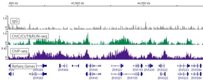 ChIC/CUT&RUN sequencing - Anti-Histone H3 (tri methyl K9) antibody [EPR16601] - ChIP Grade (ab176916), expandable thumbnail