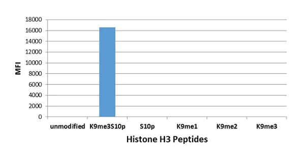 ELISA - Anti-Histone H3 (tri methyl K9, phospho S10) antibody [RM162] (AB238306)