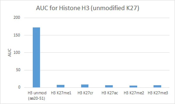 Peptide Array - Anti-Histone H3 (unmodified K27) antibody [EPR23553-22] (AB308248)