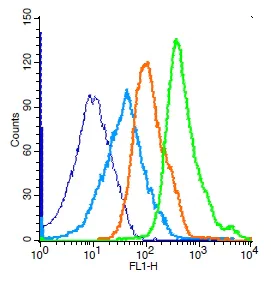 Flow Cytometry (Intracellular) - Anti-Histone H3.3 antibody (AB213677)