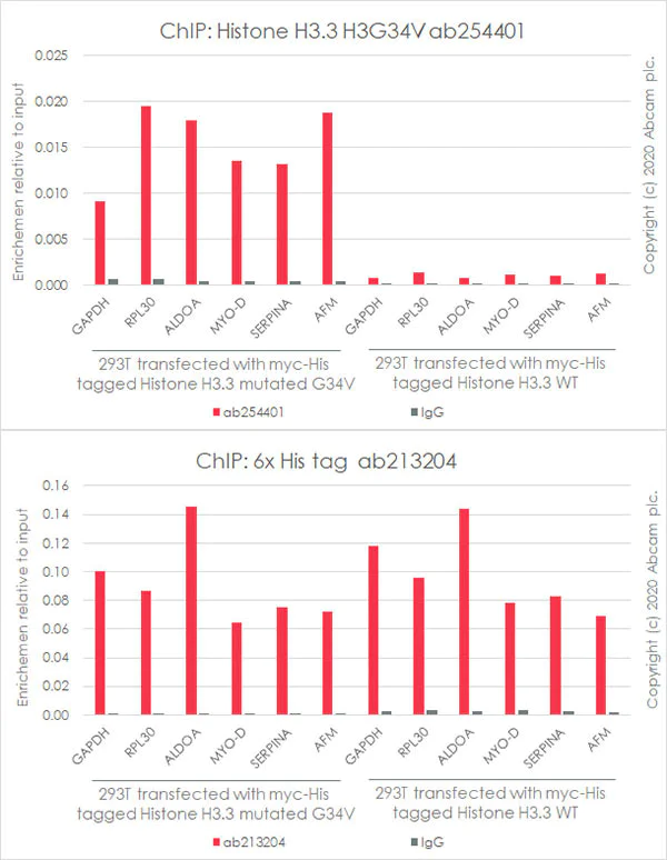 ChIP - Anti-Histone H3.3 (mutated G34V) antibody [EPR23520-5] - ChIP Grade - BSA and Azide free (AB272942)