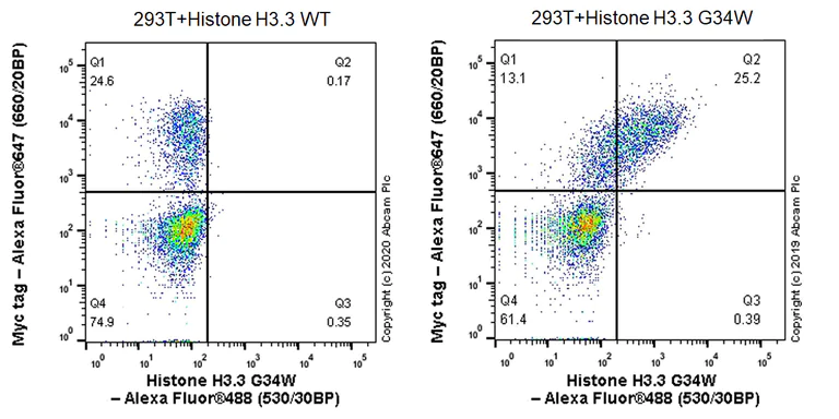 Flow Cytometry (Intracellular) - Anti-Histone H3.3 (mutated G34W) antibody [EPR23581-39] - ChIP Grade (AB272691)