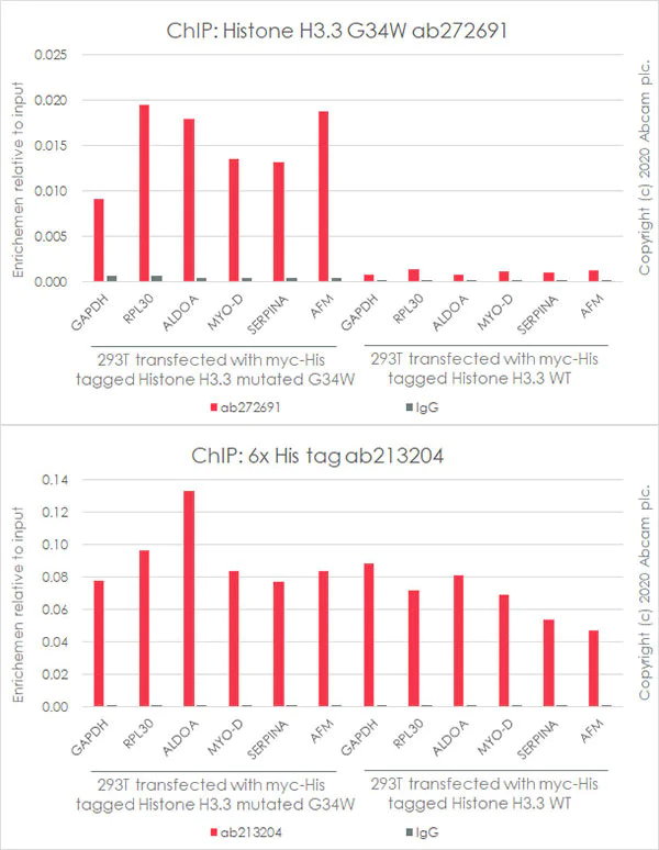 ChIP - Anti-Histone H3.3 (mutated G34W) antibody [EPR23581-39] - ChIP Grade - BSA and Azide free (AB272700)