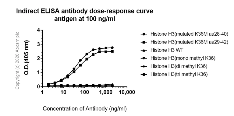 Indirect ELISA - Anti-Histone H3.3 (mutated K36M) antibody [EPR23526-89] - BSA and Azide free (AB277487)