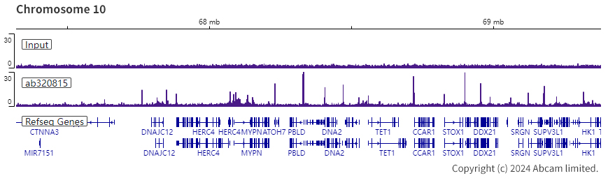 ChIP-sequencing - Anti-Histone H4 (acetyl K12) antibody [EPR28340-173] (AB320815), expandable thumbnail