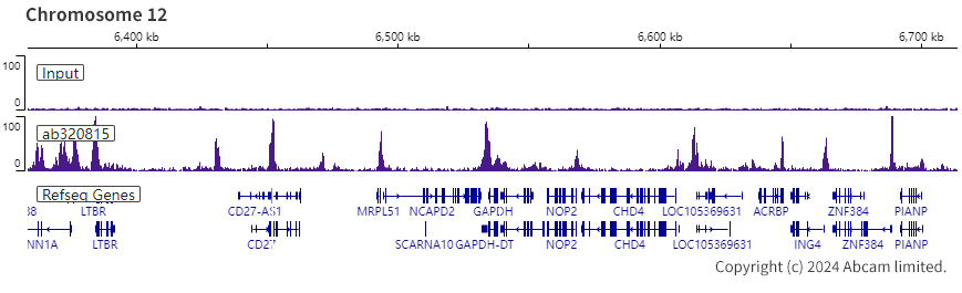 ChIP-sequencing - Anti-Histone H4 (acetyl K12) antibody [EPR28340-173] (AB320815), expandable thumbnail