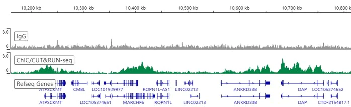 ChIC/CUT&RUN sequencing - Anti-Histone H4 (acetyl K16) antibody [EPR1004] (AB109463)