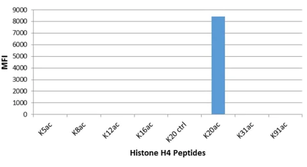 ELISA - Anti-Histone H4 (acetyl K20) antibody [RM205] (AB214655)