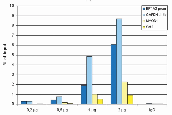 ChIP - Anti-Histone H4 (acetyl K5 + K8 + K12) antibody (AB233193), expandable thumbnail