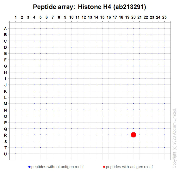 Peptide Array - Anti-Histone H4 antibody [IGX4696H] - ChIP Grade (AB213291)