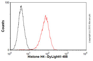 Anti-Histone H4 antibody [mAbcam 31830] - ChIP Grade