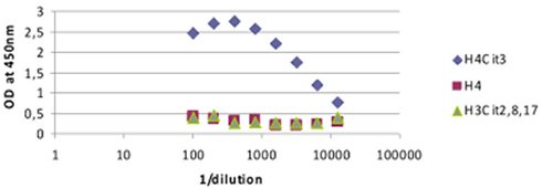 ELISA - Anti-Histone H4 (citrulline R3) antibody (AB81797)