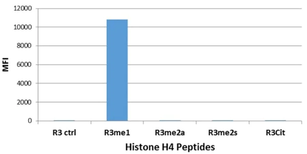 ELISA - Anti-Histone H4 (mono methyl R3) antibody [RM195] (AB214657)