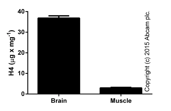 Functional Studies - Histone H4 Total Quantification Kit (Colorimetric) (AB156909)