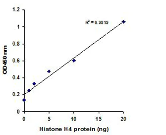 Functional Studies - Histone H4 Total Quantification Kit (Colorimetric) (AB156909)