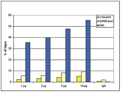 ChIP - Anti-Histone H4 (tri methyl K20) antibody - ChIP Grade (AB195479)