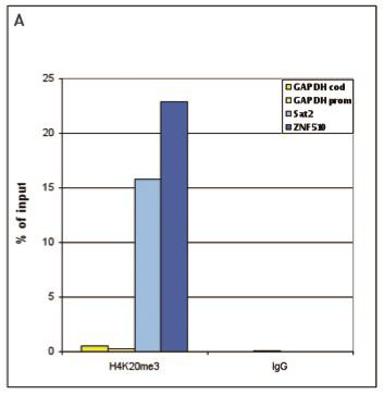ChIP-sequencing - Anti-Histone H4 (tri methyl K20) antibody - ChIP Grade (AB195479), expandable thumbnail