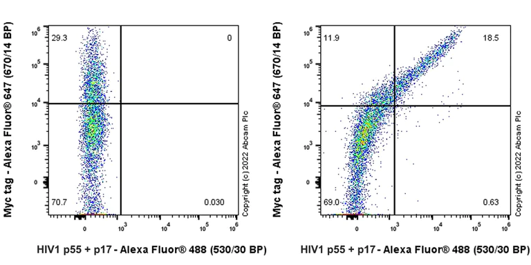 Flow Cytometry (Intracellular) - Anti-HIV1 p55 + p17 antibody [EPR27327-41] (AB308070)