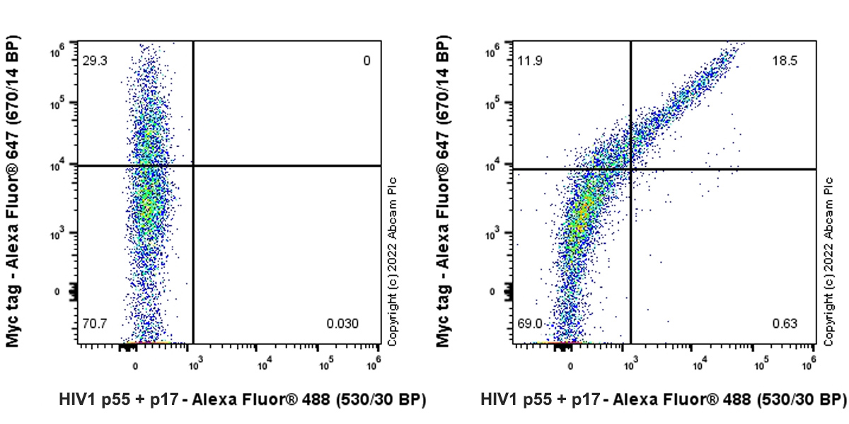 Flow Cytometry (Intracellular) - Anti-HIV1 p55 + p17 antibody [EPR27327-41] - BSA and Azide free (AB308071), expandable thumbnail