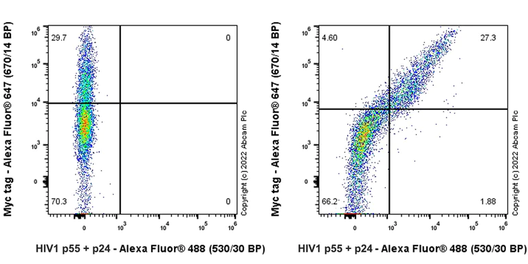 Flow Cytometry (Intracellular) - Anti-HIV1 p55 + p24 antibody [EPR27327-79] (AB308072)