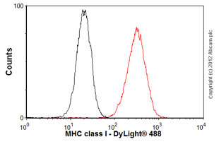Flow Cytometry (Intracellular) - Anti-HLA A antibody [EP1395Y] - Low endotoxin, Azide free (ab246691), expandable thumbnail
