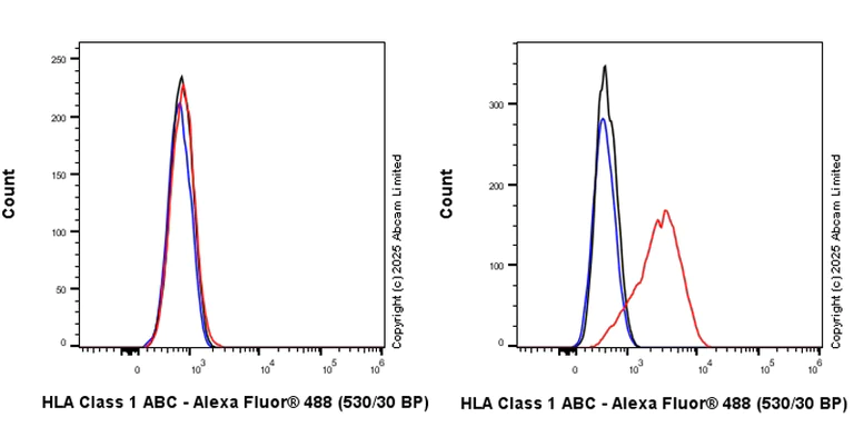 Flow Cytometry - Anti-HLA Class 1 ABCG antibody [EPR29051-62] (AB323616)