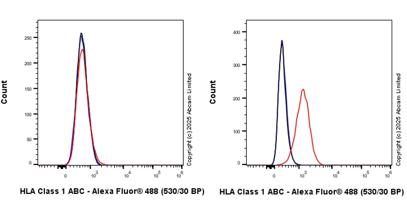 Flow Cytometry - Anti-HLA Class 1 ABCG antibody [EPR29051-62] (AB323616), expandable thumbnail