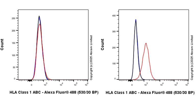 Flow Cytometry - Anti-HLA Class 1 ABCG antibody [EPR29051-62] (AB323616)