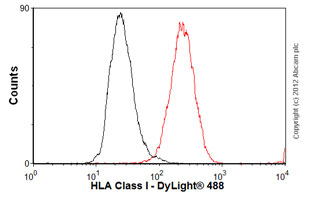 Flow Cytometry - Anti-HLA Class I antibody [MEM-123] (AB2217)