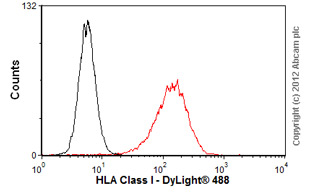 Flow Cytometry - Anti-HLA Class I antibody [MEM-147] (AB9090)
