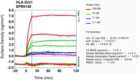 OI-RD Scanning - Anti-HLA Class II DRB1 antibody [EPR6148] (AB133578)