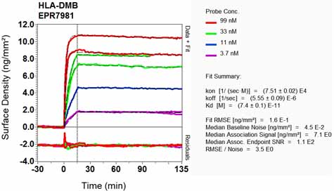 OI-RD Scanning - Anti-HLA DMB antibody [EPR7981] (AB133640), expandable thumbnail