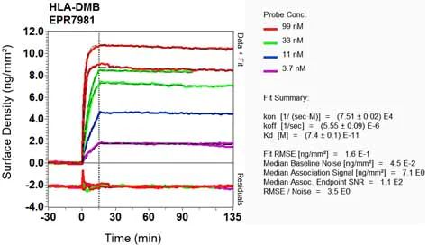 OI-RD Scanning - Anti-HLA DMB antibody [EPR7981] (AB133640)