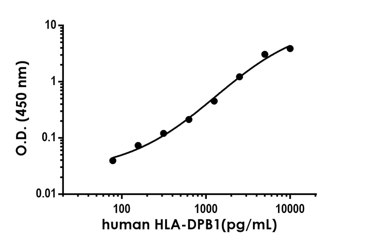 Sandwich ELISA - Anti-HLA-DPB1 antibody [EPR24569-39] - BSA and Azide free (Detector) (AB300721)
