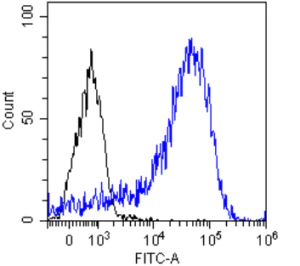Flow Cytometry - Anti-HLA DQA2 antibody [F3.3] (AB288433)