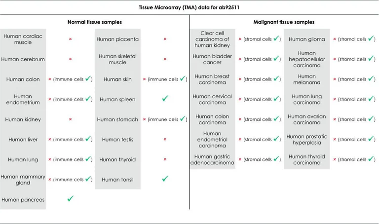 Immunohistochemistry (Formalin/PFA-fixed paraffin-embedded sections) - Anti-HLA-DR antibody [EPR3692] - Low endotoxin, Azide free (AB215985)