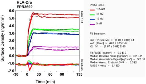 OI-RD Scanning - Anti-HLA-DR antibody [EPR3692] - Low endotoxin, Azide free (AB215985)