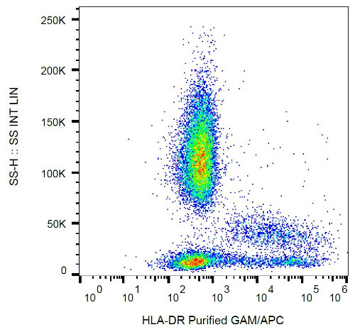 Flow Cytometry - Anti-HLA-DR antibody [L243] (AB136320), expandable thumbnail