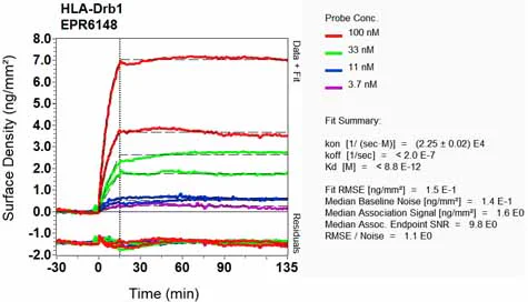 OI-RD Scanning - Anti-HLA-DRB antibody [EPR6148] (AB133578)