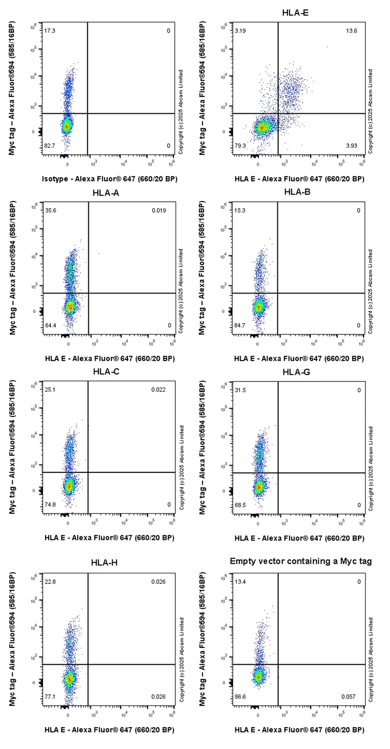 Flow Cytometry (Intracellular) - Anti-HLA E antibody [EPR29073-517] (AB324677)