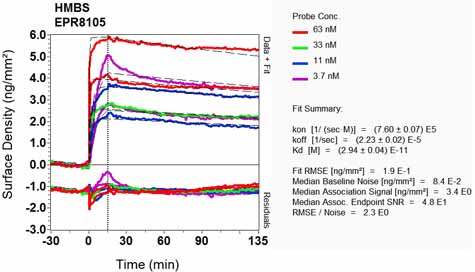 OI-RD Scanning - Anti-HMBS/PBGD antibody [EPR8105] - BSA and Azide free (AB248295), expandable thumbnail