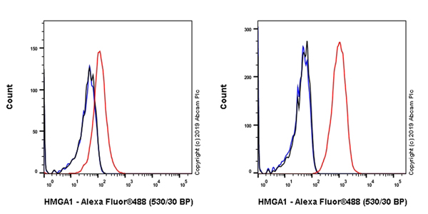 Flow Cytometry (Intracellular) - Anti-HMGA1 antibody [EPR22421-101] - BSA and Azide free (AB255277), expandable thumbnail