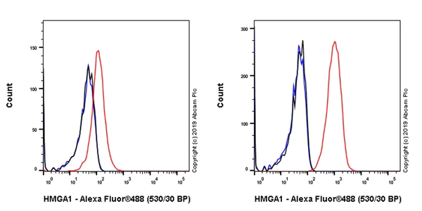 Flow Cytometry (Intracellular) - Anti-HMGA1 antibody [EPR22421-101] - BSA and Azide free (AB255277)