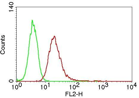 Flow Cytometry - Anti-HMGB1 antibody [ABM24D3] (AB208282)