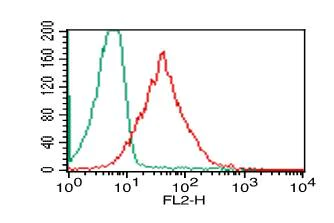 Flow Cytometry - Anti-HMGB1 antibody [ABM24D3] (AB208282)