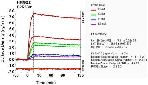 OI-RD Scanning - Anti-HMGB2 antibody [EPR6301] - BSA and Azide free (AB239992)